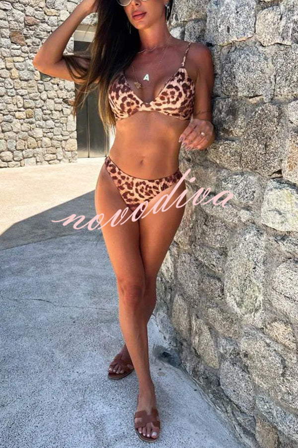 Leopard Print Sexy Stretch Two-piece Bikini Swimsuit