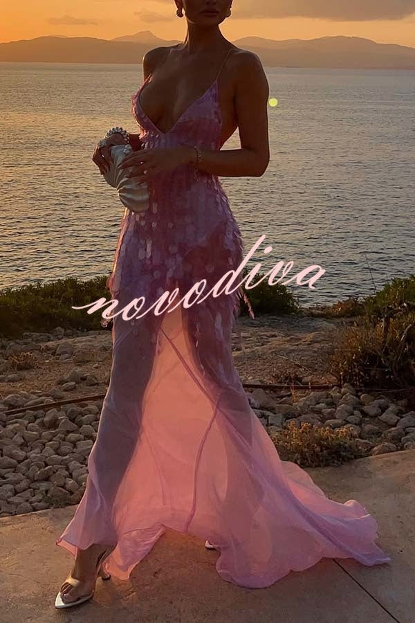 Perfect Night Sequin Embroidery Backless Drape Tulle Hem Slip Maxi Dress