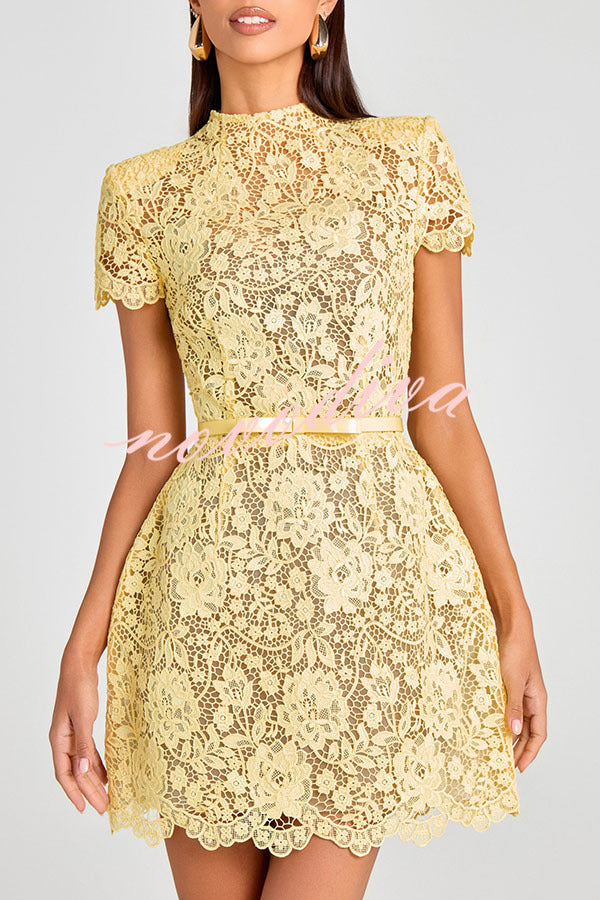 Champagne Toast Flower Lace Short Sleeve Bow Belted Mini Dress