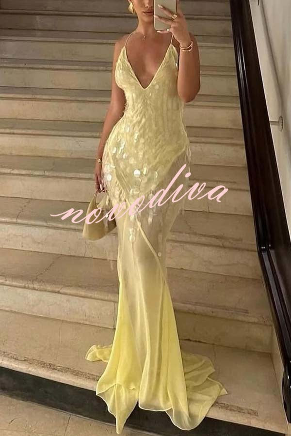 Perfect Night Sequin Embroidery Backless Drape Tulle Hem Slip Maxi Dress