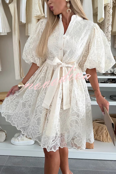 Summer Romance Embroidery Lace Puff Sleeve Button Tie-up Mini Dress