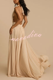 Ethereal Moment Tulle Cutout Ruched Waist Backless Halter Maxi Dress