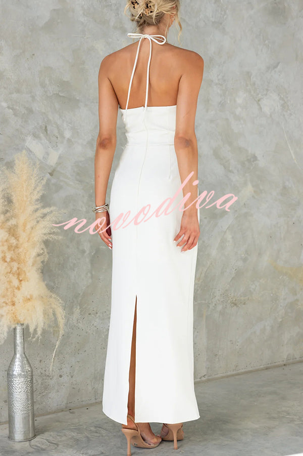 Sexy Backless Halter Neck Slim Waist Maxi Dress