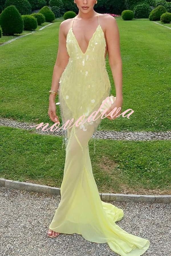 Perfect Night Sequin Embroidery Backless Drape Tulle Hem Slip Maxi Dress