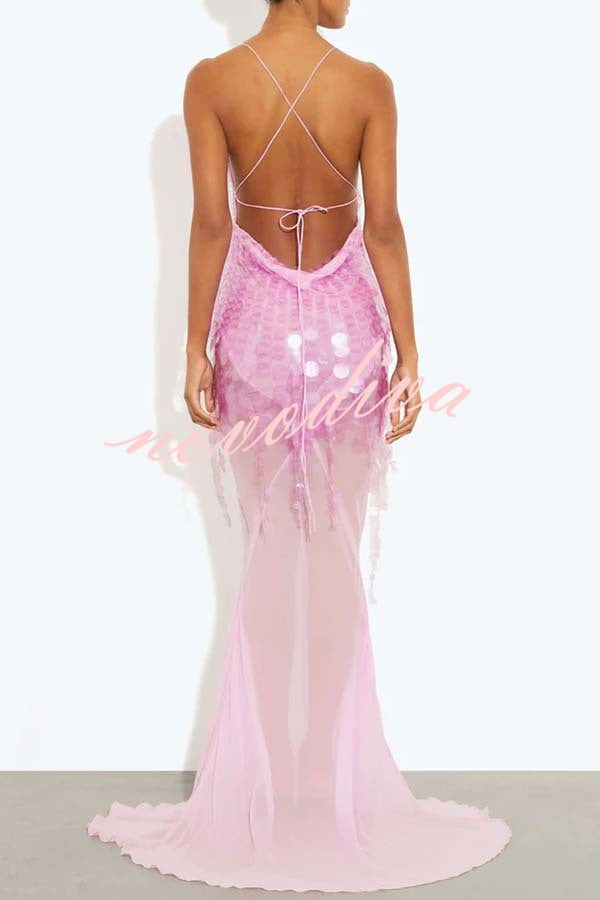 Perfect Night Sequin Embroidery Backless Drape Tulle Hem Slip Maxi Dress