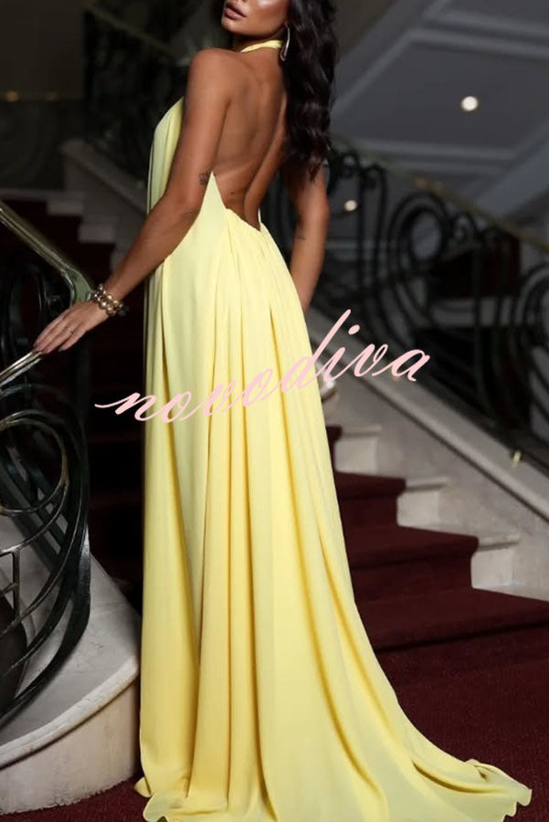 Sunny Horizon Chiffon Flower Feather Pendant Halter Backless Maxi Dress