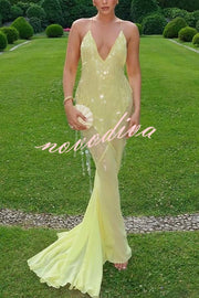 Perfect Night Sequin Embroidery Backless Drape Tulle Hem Slip Maxi Dress