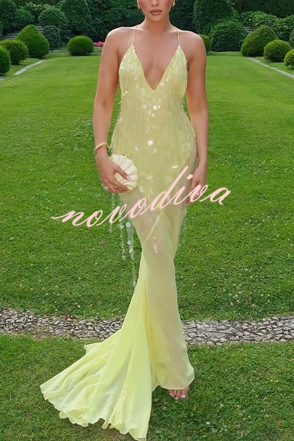 Perfect Night Sequin Embroidery Backless Drape Tulle Hem Slip Maxi Dress