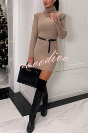 Chilly Morning Ribbed Knit Turtleneck Long Sleeve Mini Dress