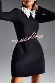 Alisha Contrast Floral Appliqué Pointed Collar Long Sleeve Pocketed Mini Dress