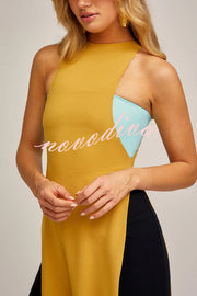 Fashionable Contrast Color Stitching Sleeveless Slim Maxi Dress