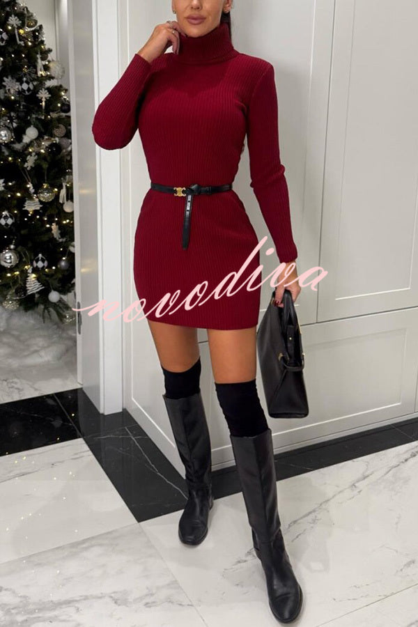 Chilly Morning Ribbed Knit Turtleneck Long Sleeve Mini Dress