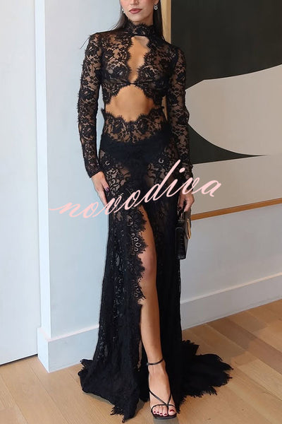 Dark Night Charm Sheer Lace Cutout Long Sleeve Stretch Maxi Dress