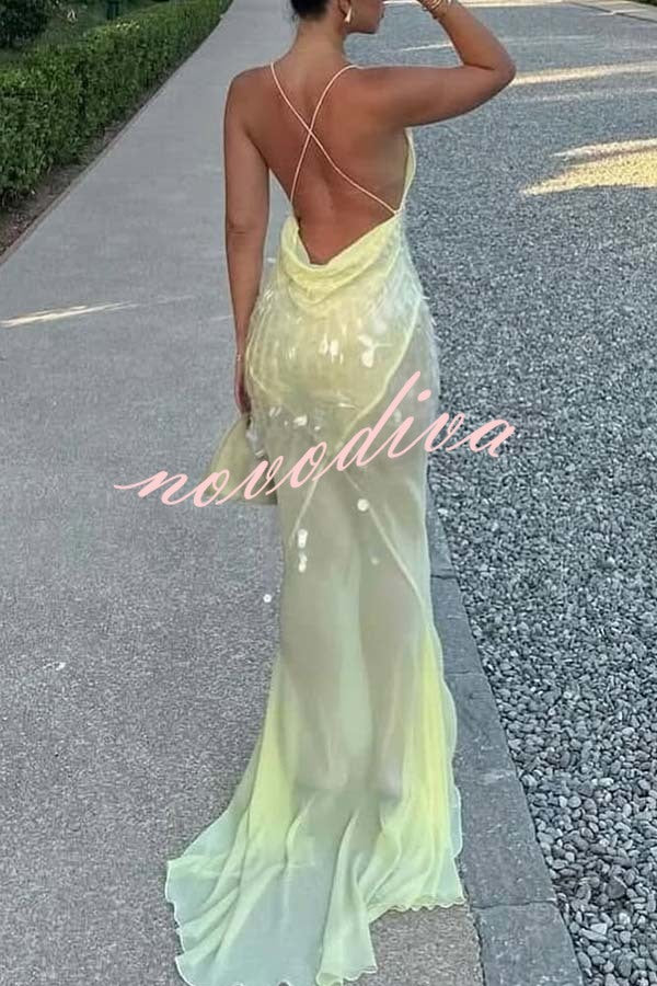 Perfect Night Sequin Embroidery Backless Drape Tulle Hem Slip Maxi Dress