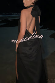 Floral Embellished Satin Halterneck Backless Resort Maxi Dress