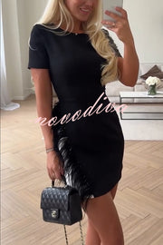 Marcelle Feather Trim Short Sleeve Color-block Him Mini Dress