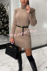 Chilly Morning Ribbed Knit Turtleneck Long Sleeve Mini Dress