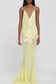Perfect Night Sequin Embroidery Backless Drape Tulle Hem Slip Maxi Dress
