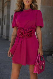 Sweet Surprise Puff Sleeve Rose Ruffles Detail Waist Backless Mini Dress